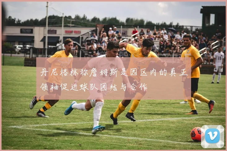 丹尼格林称詹姆斯是园区内的真正领袖促进球队团结与合作
