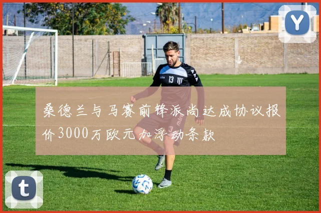 桑德兰与马赛前锋派尚达成协议报价3000万欧元加浮动条款