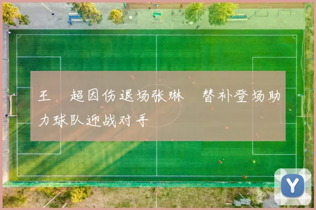 王燊超因伤退场张琳芃替补登场助力球队迎战对手